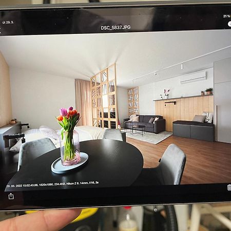 Apartmany U Lesa Dolni Morava Phòng bức ảnh